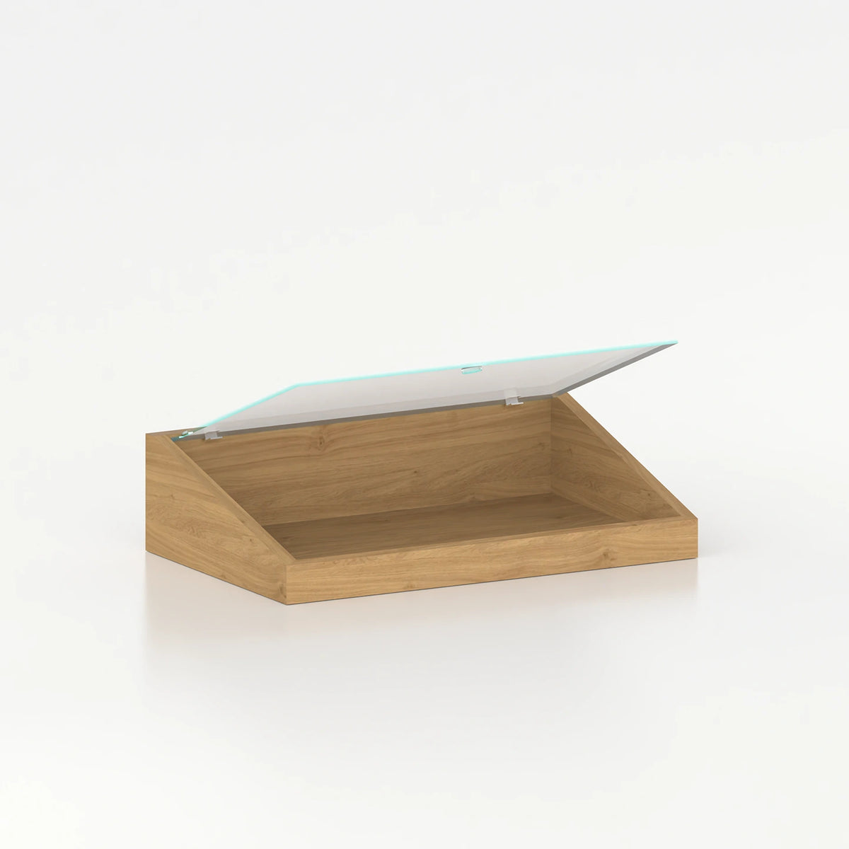 Vitrine de comptoir avec couvercle en verre